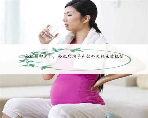 合肥捐卵途径，合肥启动孕产妇全流程保障机制