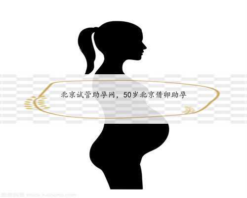 北京试管助孕网，50岁北京借卵助孕