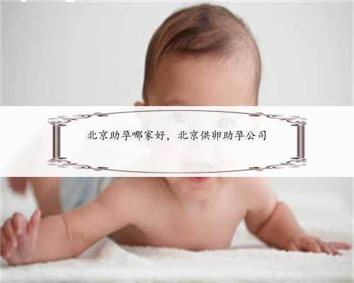 北京助孕哪家好，北京供卵助孕公司