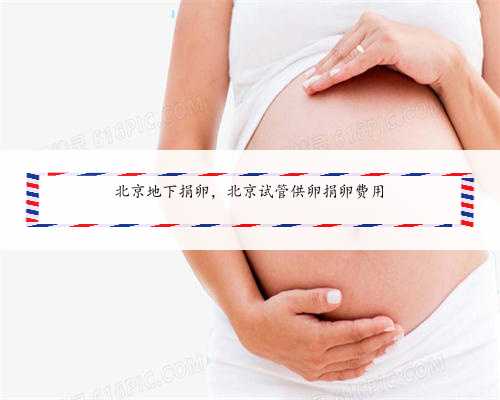 北京地下捐卵，北京试管供卵捐卵费用
