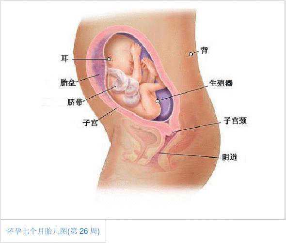 宫颈不好影响怀孕吗