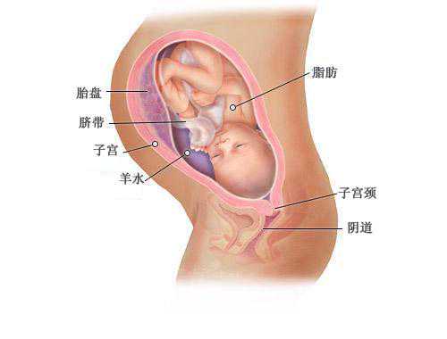 北京代孕哪家最好_幼稚子宫能做美国试管婴儿吗？