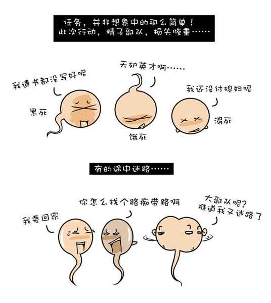 北京子宫畸形有几种,北京代孕产子怎么上户口