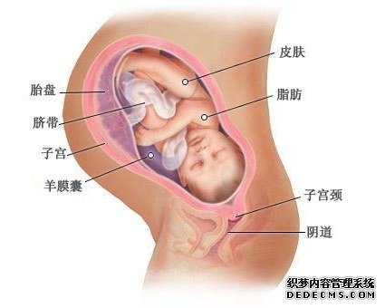 正规北京代孕医院_北京代怀孩子长得像谁啊