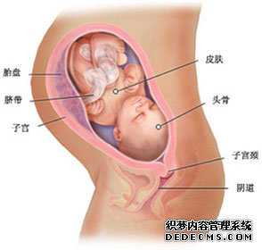 北京供卵试管是怎么意思-北京43岁卵巢早衰怎么办-北京供卵中心价位