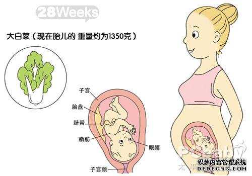 北京女人最多捐多少卵子_北京西北妇女儿童医院供卵_【北京代孕基地，让你有