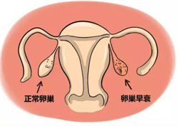 北京借卵子试管流程， 广东试管婴儿医院前十的排名？专业人士教你怎么选择