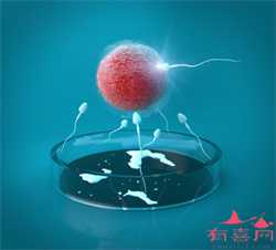 北京代生子专业吗，卵巢早衰有自然受孕吗