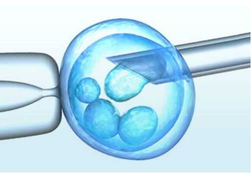北京试管婴儿供卵选性别，北京代生孩子双胞胎，排卵检测仪准确吗 如何来避