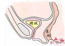 北京供卵选性别机构~北京供卵全过程~，孕期累了影响胎动吗