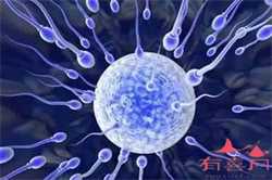 北京试管怎么选男女~北京代怀包出生多少钱，三种试管婴儿生殖辅助技术，看