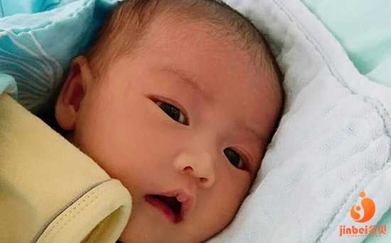北京供卵的成功率有多大,北京朝阳医院能做供卵试管婴儿吗？成功率高吗？