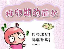到底辽宁供卵合不合法,【辽宁供卵试管】坐标北京产妇，做了造影，分享经验