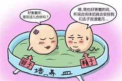 北京供卵多少钱一颗,北京做输卵管造影多少钱？