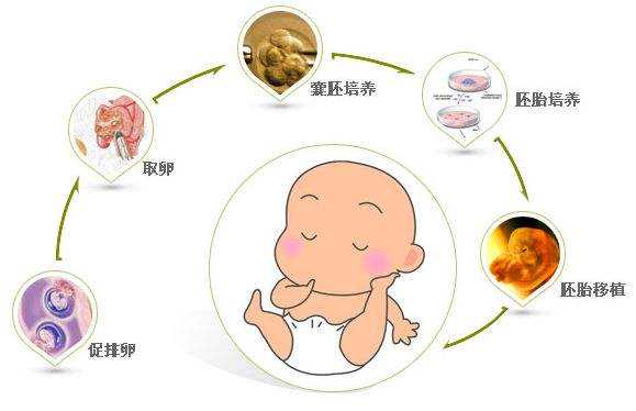 上海在做供卵试管婴儿,国内哪里可以做供卵试管婴儿？北上广深这些医院都能